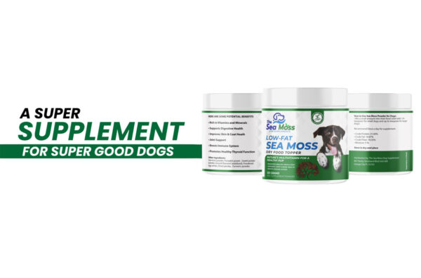 Low-Fat Sea Moss Dry Food Topper - Image 2